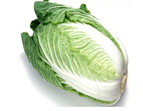 大量批发供应无公害绿色蔬菜大白菜 新鲜优质大白菜 质优价惠图3