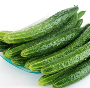 黄瓜 绿色无公害蔬菜 新鲜蔬菜 新鲜采摘 农家种植图3