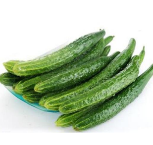 显现爽口解渴时鲜蔬菜黄瓜 绿色有机无公害健康产品厂家批发销售