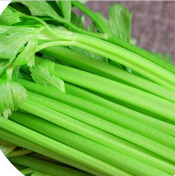 新鲜蔬菜批发图3