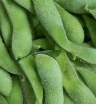 新鲜有机 青毛豆 绿毛豆 毛豆荚 生毛豆 带壳青豆精品优质毛豆角图3