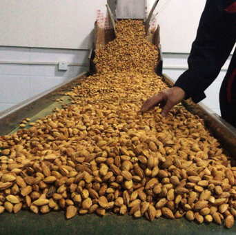 现货批发散装坚果零食 手剥盐焗巴旦木厚皮 开口扁桃仁10kg装20斤 举报图3