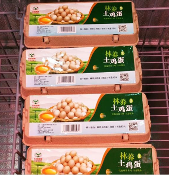 厂家直销优质林养土鸡蛋，口感好图3