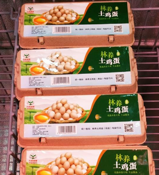 厂家直销优质林养土鸡蛋，口感好图2