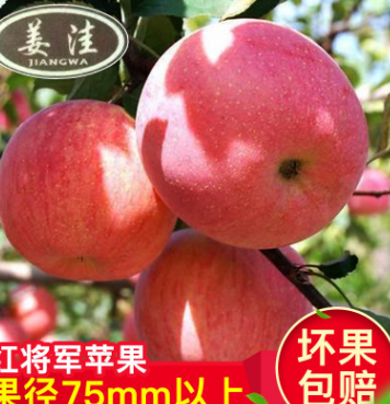 原产地直销水果 新鲜有机绿色水果苹果 红将军苹果水果一件代发