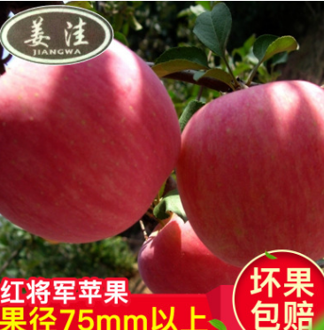 原产地直销水果 新鲜有机苹果 绿色水果红将军苹果水果一件代发