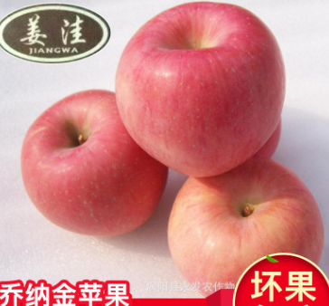 原产地直销水果 水果苹果批发 新鲜有机乔纳金苹果水果一件代发