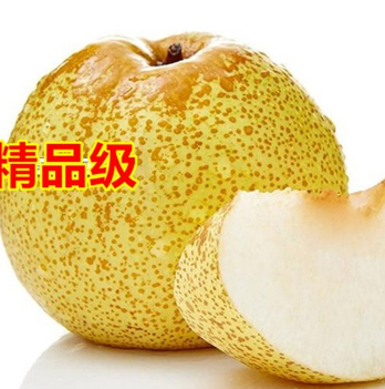 正宗砀山酥梨 特级果 新鲜水果梨子图2