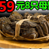 现货正宗阳澄湖大闸蟹鲜活公螃蟹4.0-4.5母蟹3.0-3.5两10只礼盒装