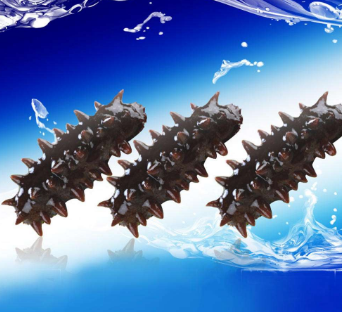 霞浦优质海参 即食海参 袋装 买5送1装图3