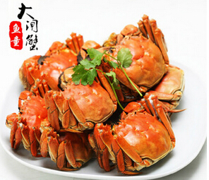 供应 正宗阳澄湖大闸蟹图2