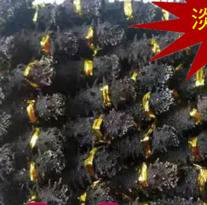 供应淡干海参干货批发 无添加无污染海参 涨发率高厂家直销规格齐全 速来选购图2