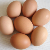 当天本地新鲜鸡蛋批发 鸡场直供蛋 鸡蛋 新鲜粉壳蛋