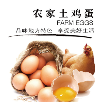 君丰 正宗农家土鸡蛋 散养新鲜鸡蛋 自养笨鸡蛋 农村草鸡蛋 预售！预售！预售！图3