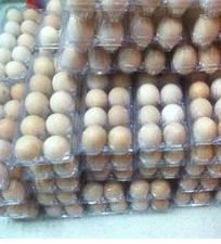 供应合肥市土鸡蛋批发，零售，礼盒装