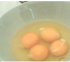 黄山土鸡种蛋