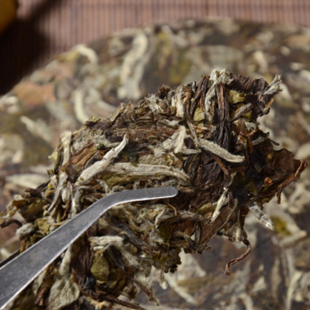 2017年福鼎白茶 高山白牡丹茶饼300g 厂家大量直销 一件代发图3