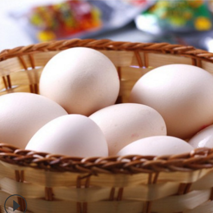 生态散养商品蛋 农户直售土鸡蛋 商品蛋批发 货源充足