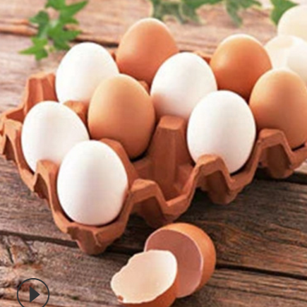 直供优质种蛋 散养土鸡种蛋 鸡蛋种蛋批发 量大价优 现货供应