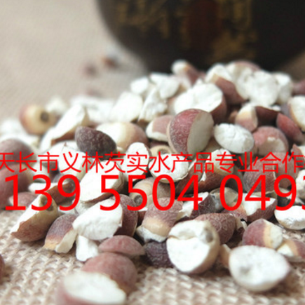 新鲜芡实 肇庆茨实半开边芡实仁500g红皮鸡头米 芡實 鸡豆米茨实图2