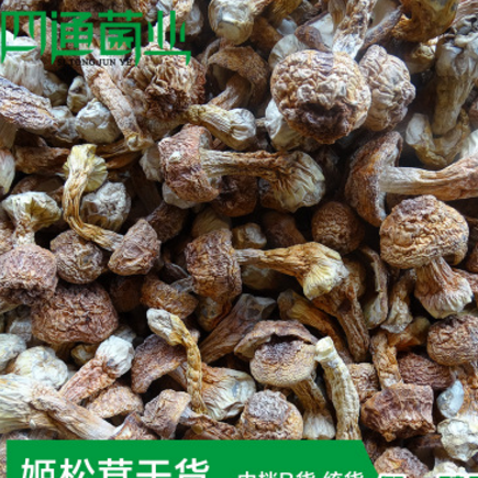 现货供应云南高原特产正宗姬松茸菌 盖嫩 菌柄脆干货干姬松茸散装图3