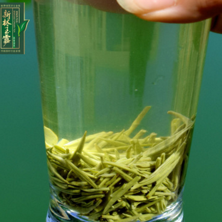 信阳毛尖2018新茶 绿茶 新林玉露 明前茶 散茶 厂家直供图2