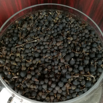 批发有蒂小青柑胎清香型新会茶枝柑胎陈皮小柑胎泡茶养生 带枝图2
