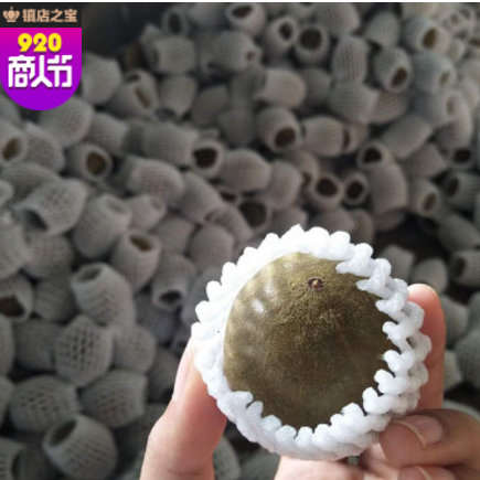 罗汉果东方神果桂林特产凉茶饮料原材料花果茶低温烘烤一件包邮图3