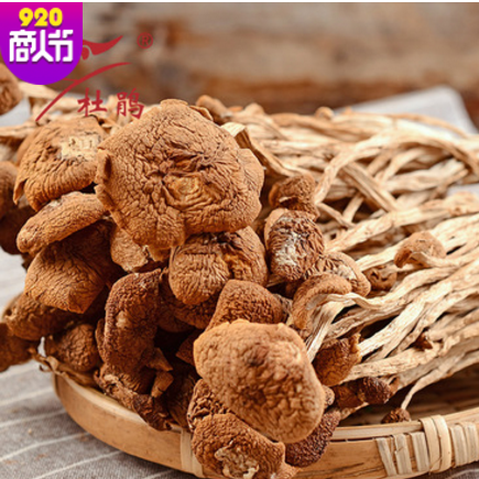 不开伞茶树菇散装 古田茶树菇干货农家野生 古田特产厂家批发直销