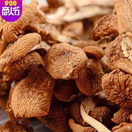 不开伞茶树菇散装 古田茶树菇干货农家野生 古田特产厂家批发直销图2