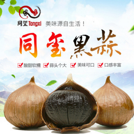 独头黑蒜500g罐装 独头黑蒜 同玺黑蒜 批发黑蒜图2