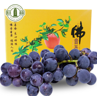 霖森农业科技 优质无公害 夏黑葡萄 产于日照充足的无污染云南山区