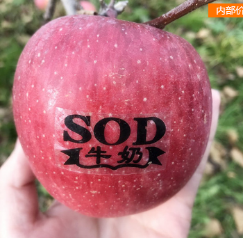 有机苹果 绿色有机苹果 许家山--牛奶有机苹果90#图1