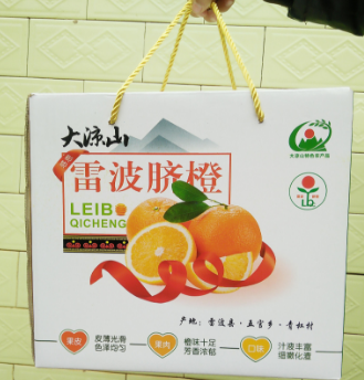 雷波脐橙 新鲜时令水果纯天然榨汁橙子 脐橙带箱10斤20斤全国包邮 【单果重 6-9两】