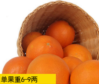 雷波脐橙 新鲜时令水果纯天然榨汁橙子 脐橙带箱10斤20斤全国包邮 【单果重 6-9两】图3