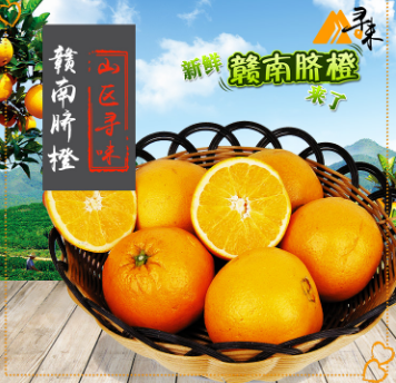 江西新鲜赣南脐橙10斤装精品水果 大果 新鲜橙子产地直发包邮
