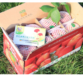 正宗陕西洛川红富士 70# 16颗装精品果 3.1kg 洛川苹果农家新鲜好吃的有机水果 包邮图2