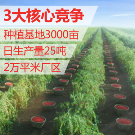 18年新品宁夏中宁枸杞 甲级枸杞子 125g袋装红枸杞批发图3