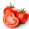 供应优质西红柿 新鲜蔬菜 无公害番茄 绿色无污染 现货直销