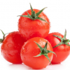 大量供应新鲜西红柿 天然蔬菜 甜嫩蕃茄 批发价格优惠