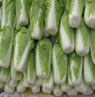 优质白菜+绿色蔬菜，安全放心菜就在民生源蔬菜图3
