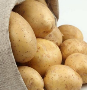 供应批发 原生态绿色土豆图1
