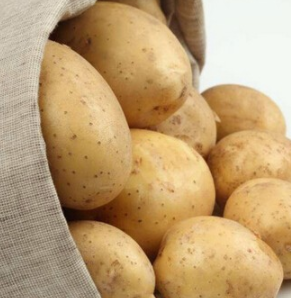 供应批发 原生态绿色土豆图2