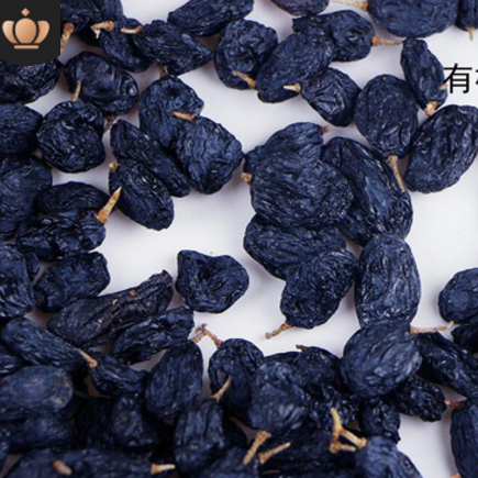 新疆特级黑加仑葡萄干 无把免洗大果干500g/袋装 散装定制批发图3