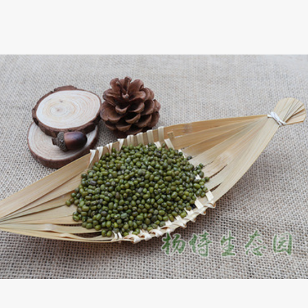 供应 绿豆批发绿豆五谷杂粮豆浆原料绿豆糕原料图3