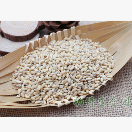 供应去皮麦仁绿色食品五谷杂粮白麦仁粗粮八宝粥料图3