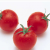 小西红柿“朱蜜”