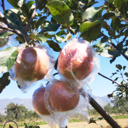 厂家批红富士苹果 当季新鲜水果批发 脆甜多汁基地供应