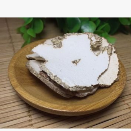 虎奶菌羊肚菌平贝汤包 药食同源 预订现打现卖 汤包可拼单图2