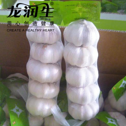 大量供应大蒜之乡金乡大蒜山东土特产 出口级紫皮蒜代加工代存代图3